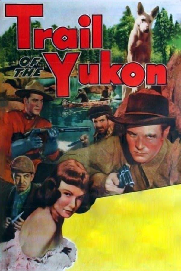 Trail of the Yukon poster