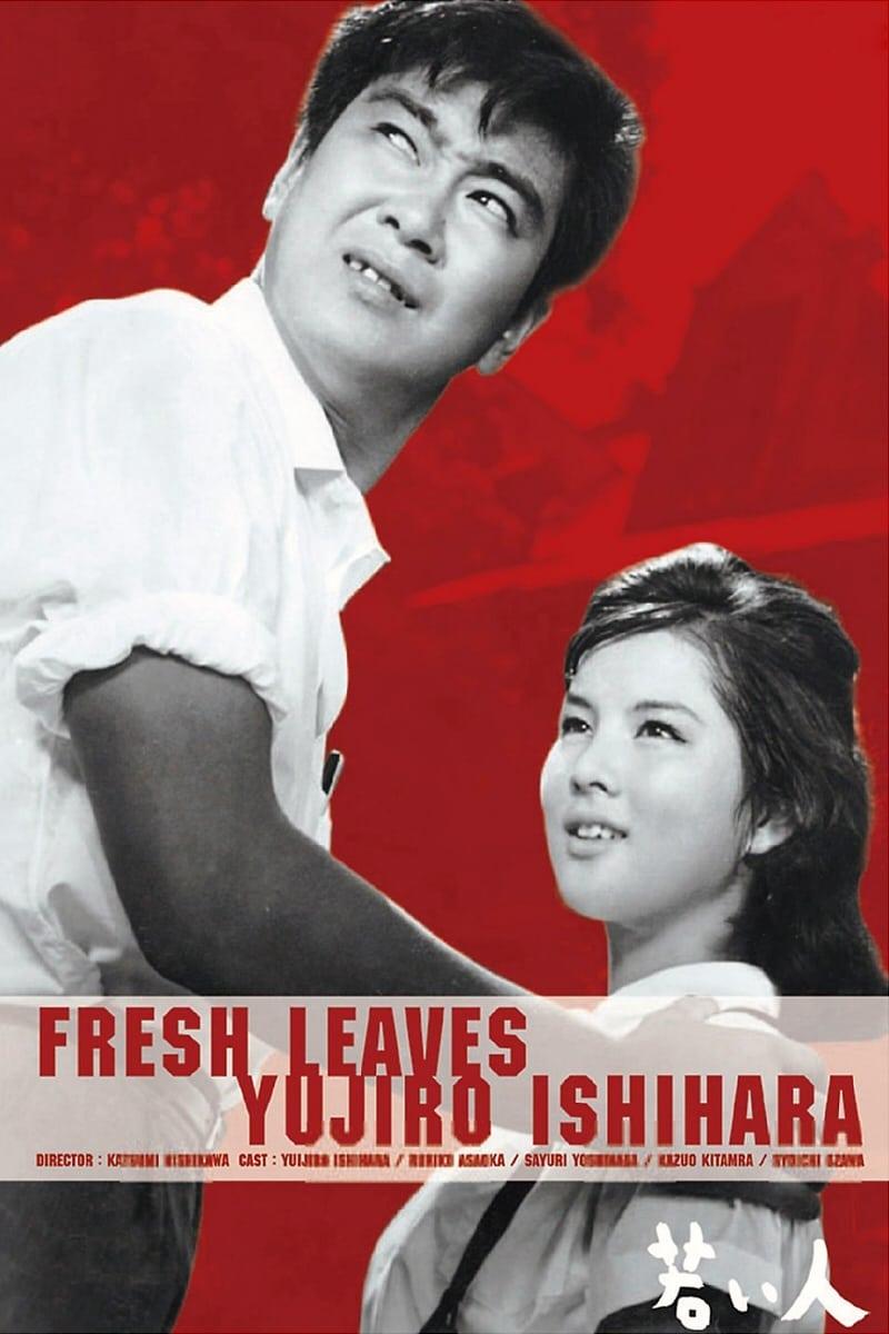 Fresh Leaves poster