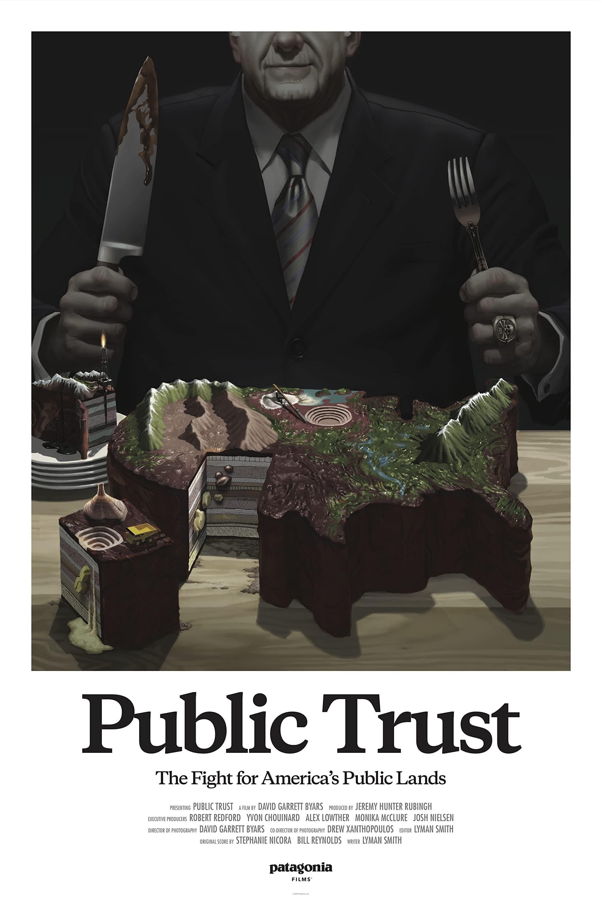 Public Trust poster