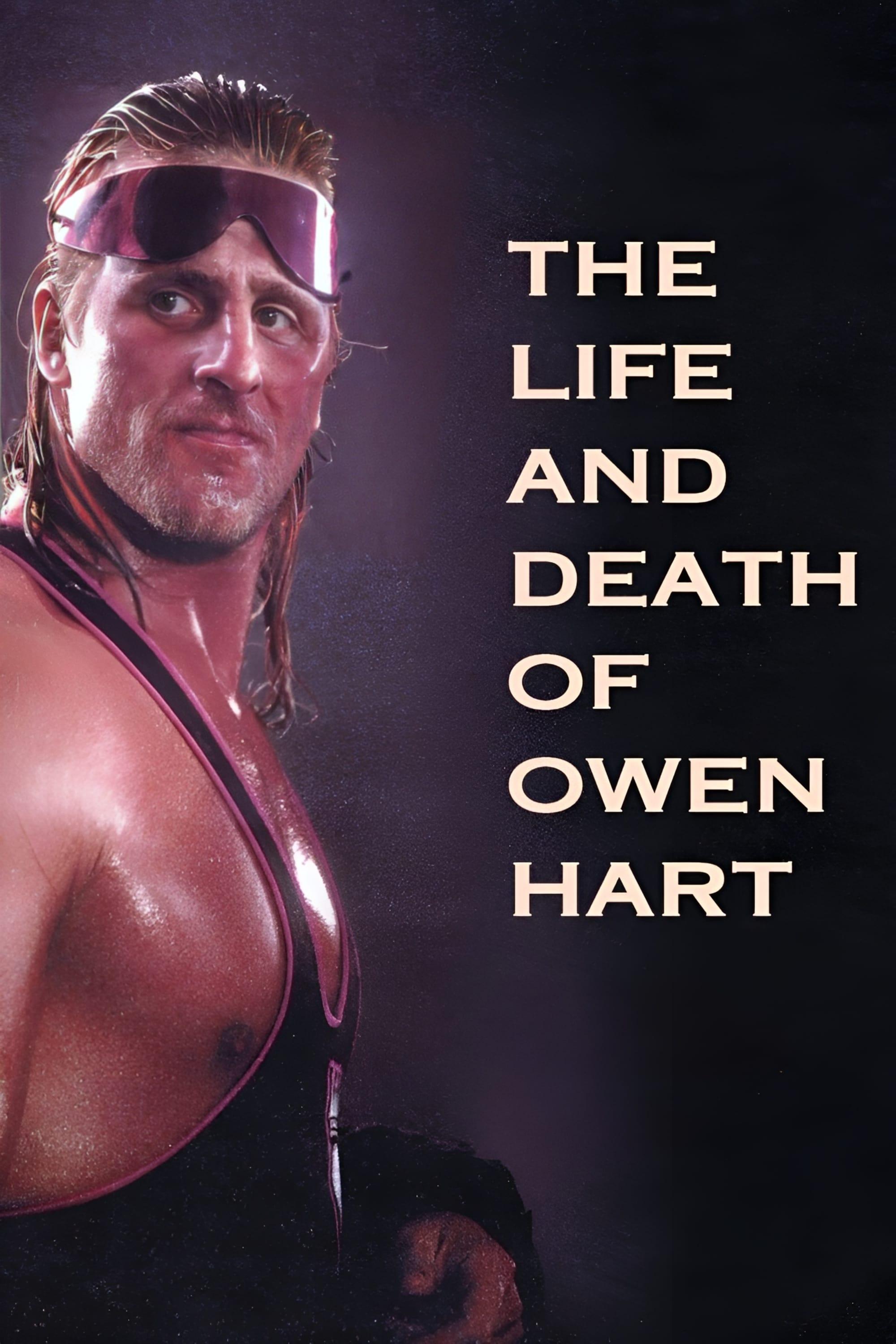 The Life and Death of Owen Hart poster