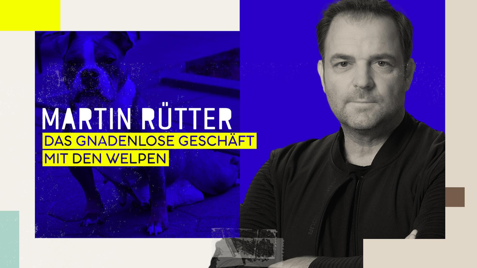 Martin Rütter – Das gnadenlose Geschäft mit den Welpen backdrop