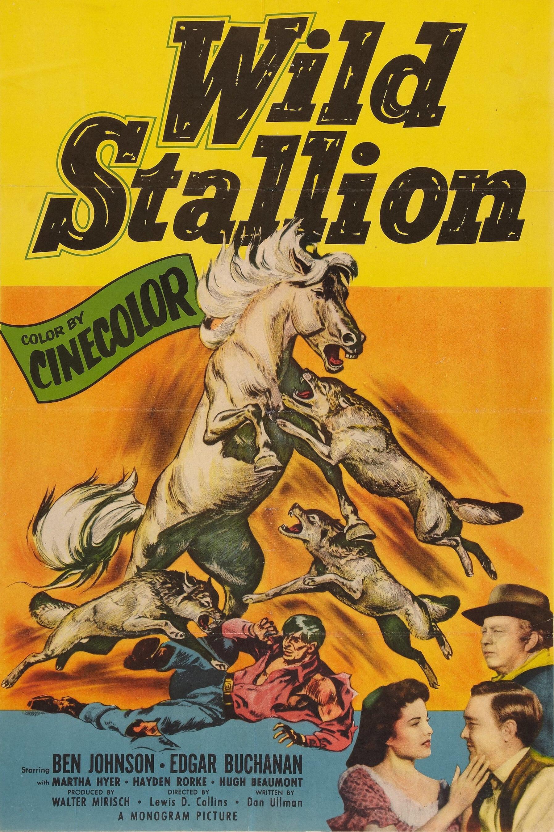 Wild Stallion poster