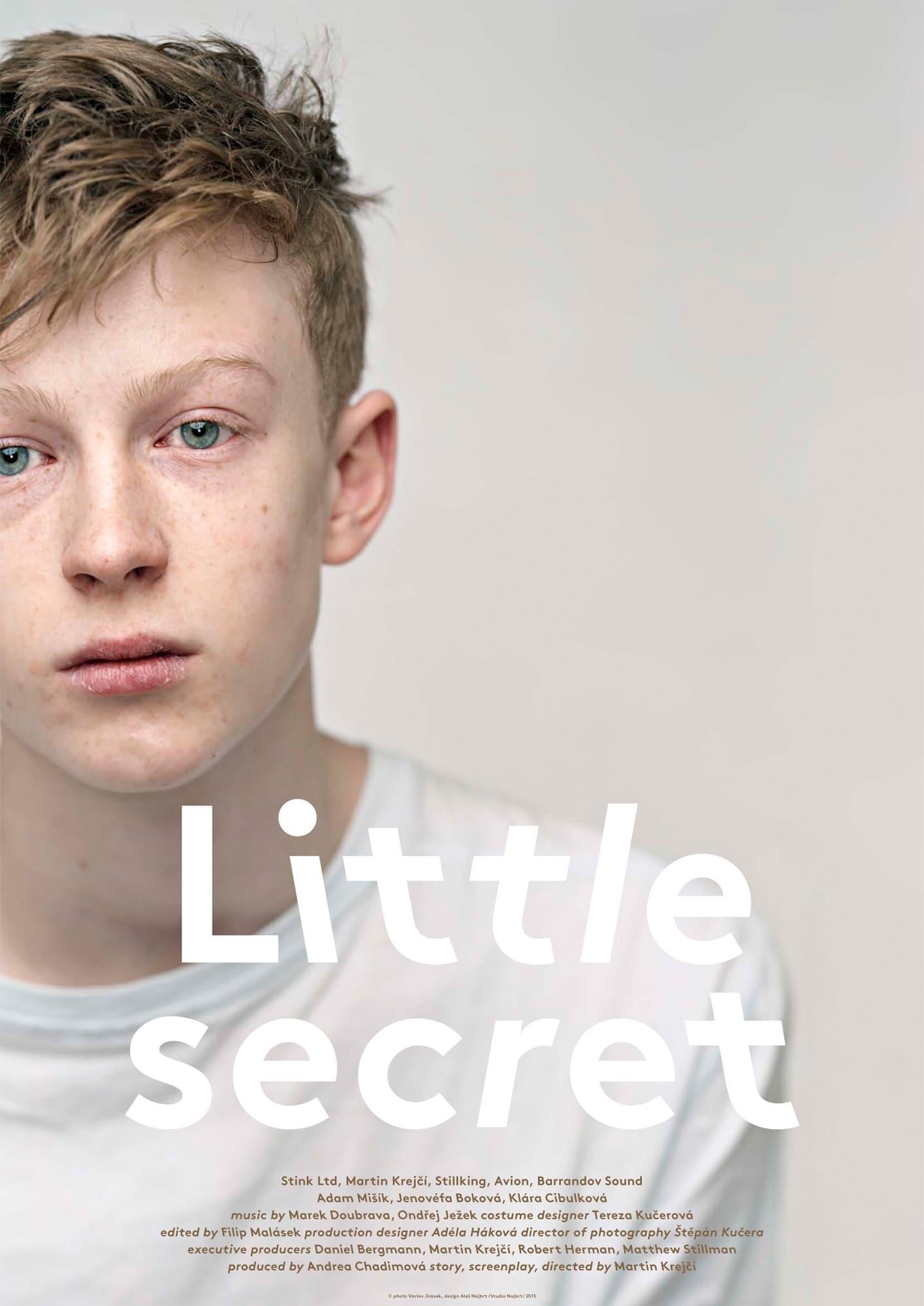 Little Secret poster