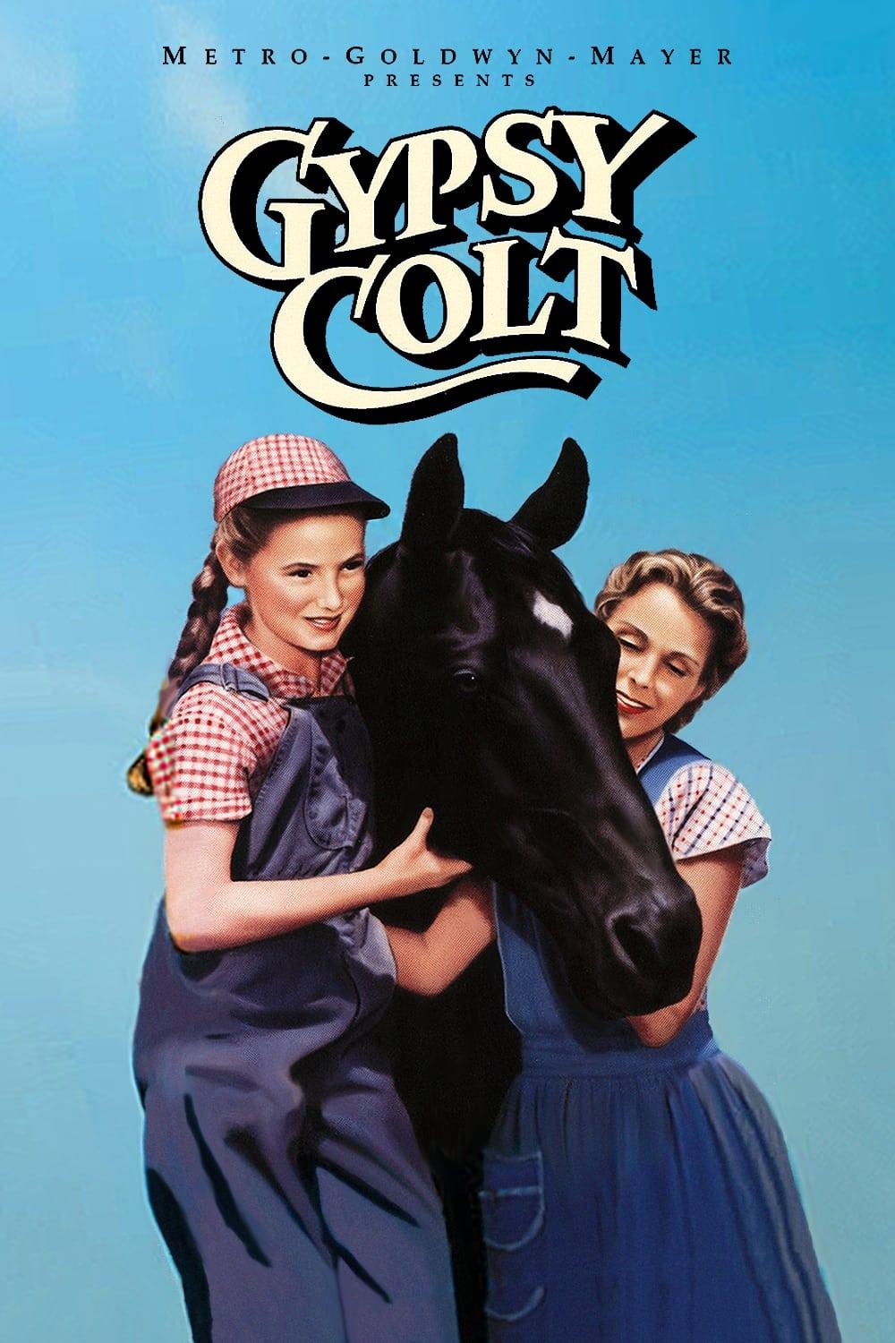 Gypsy Colt poster