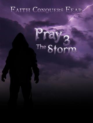 Pray 3D: The Storm poster