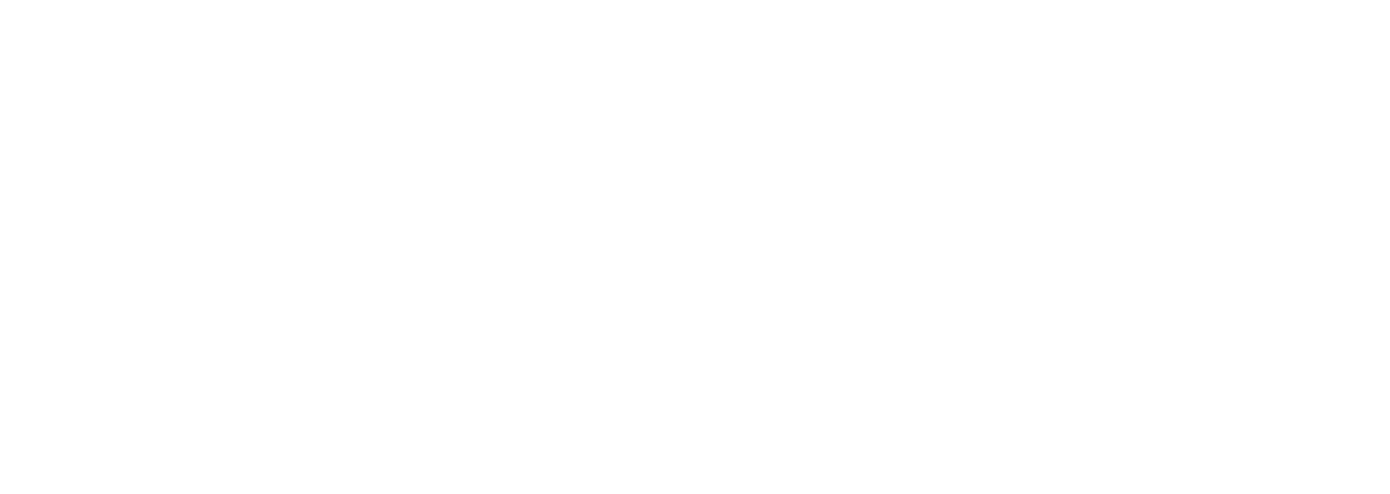 Twins Mission logo