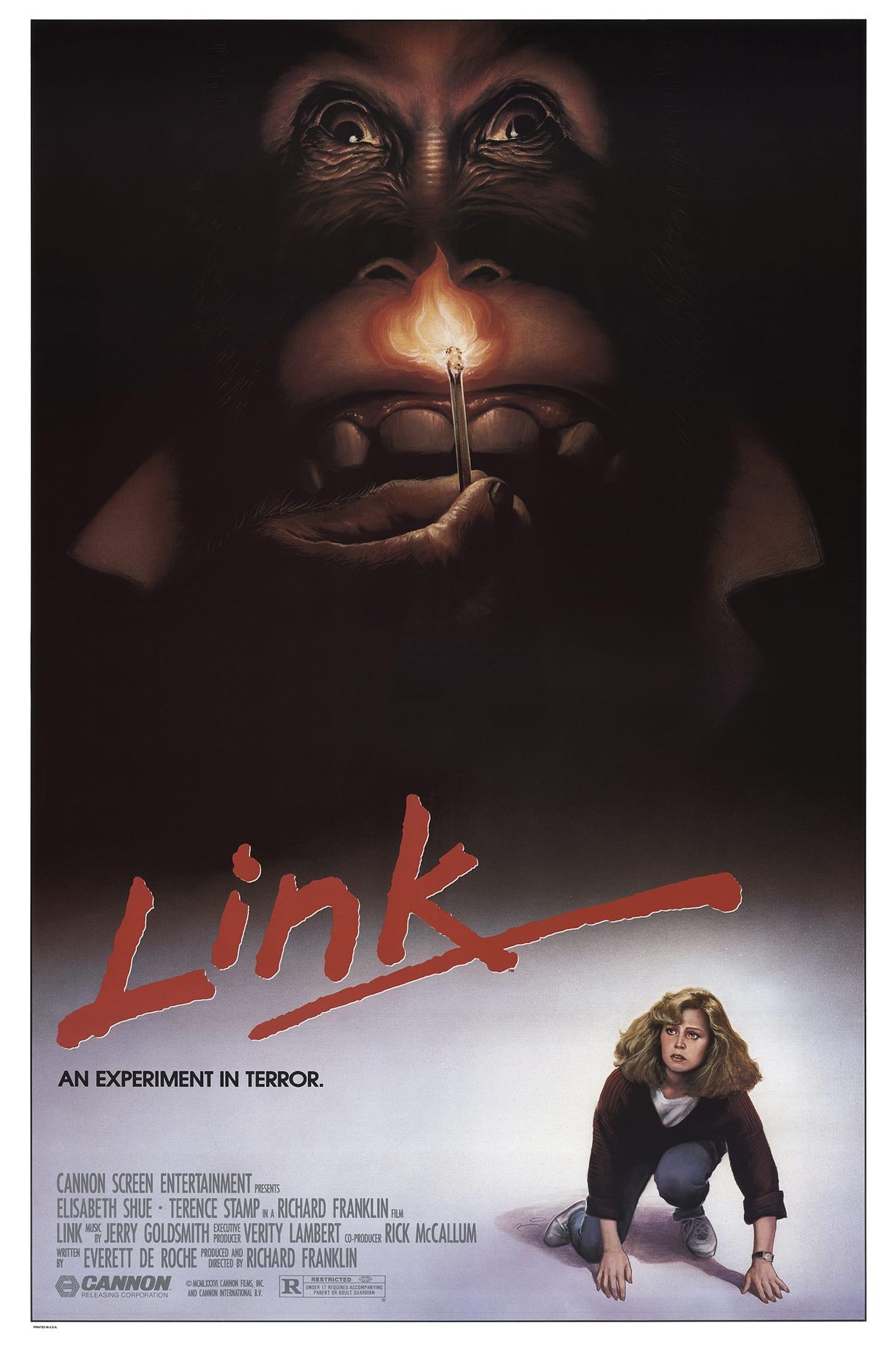 Link poster