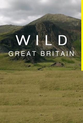 Wild Great Britain poster