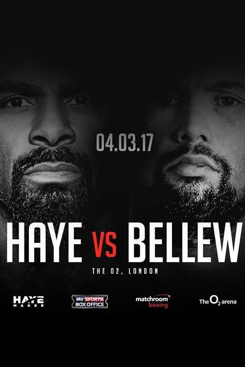 David Haye vs. Tony Bellew poster