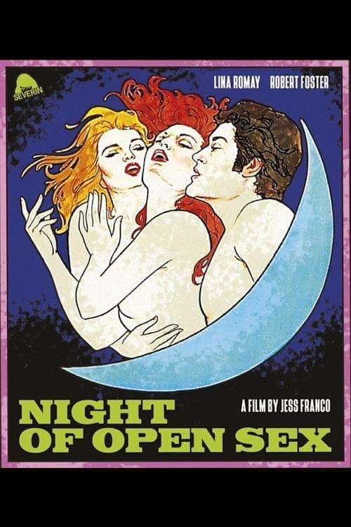 The Night Of Open Sex poster