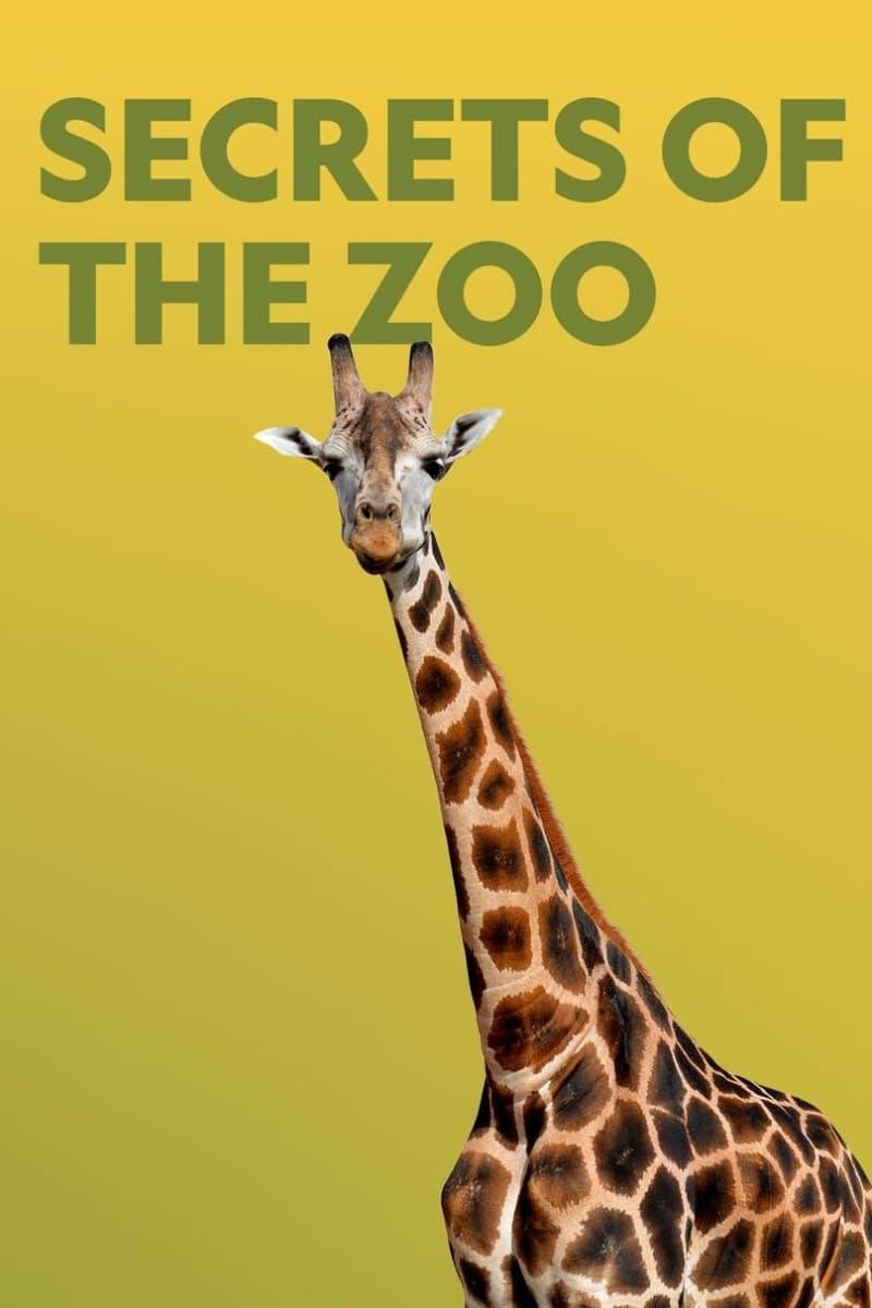 Secrets of the Zoo poster