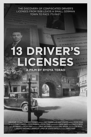 13 Driver's Licenses poster