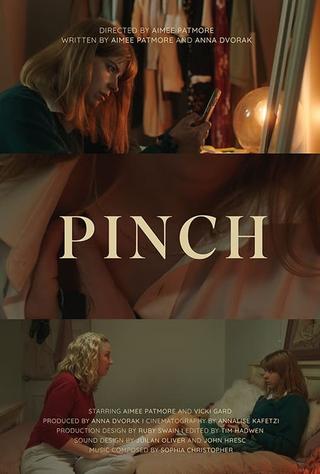 Pinch poster