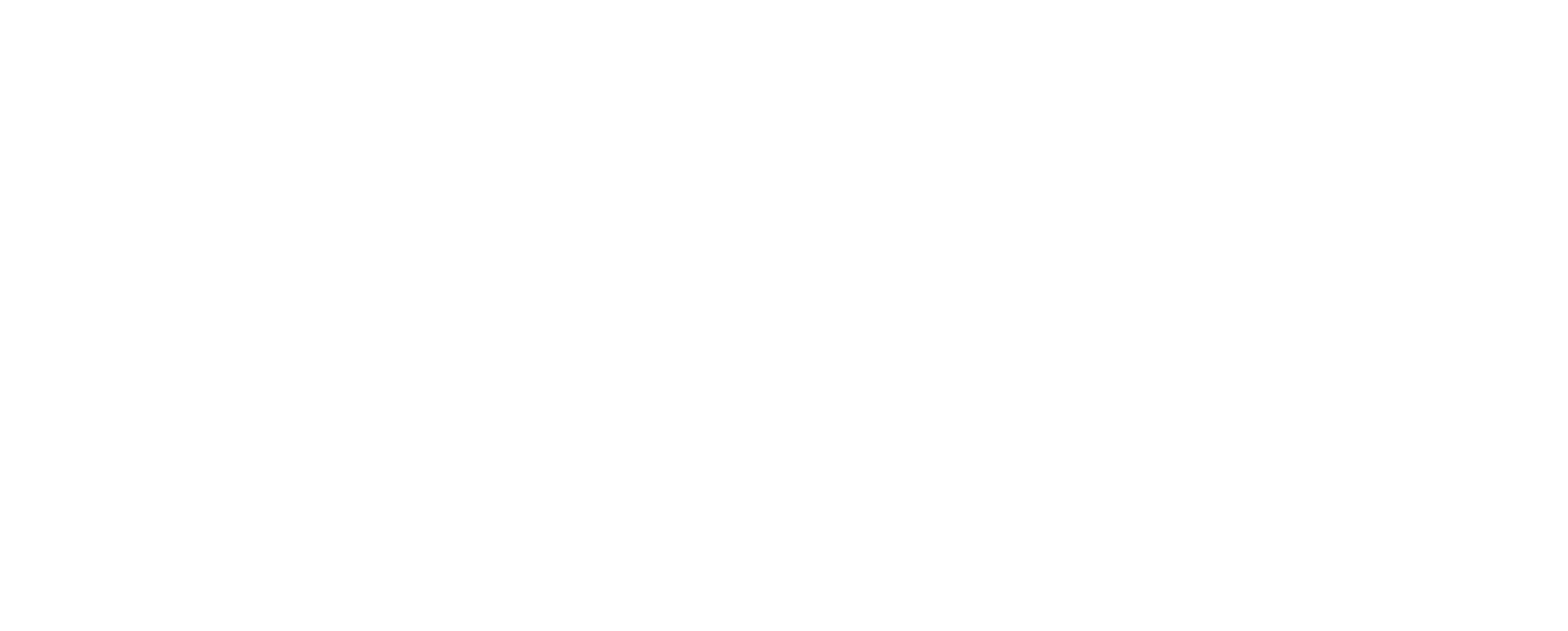 The Woman in the Wall logo