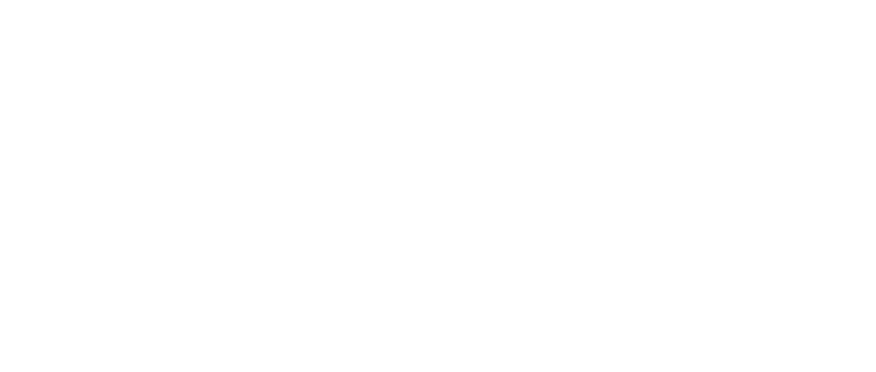 Lost in Perfection logo