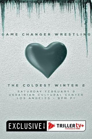 GCW: The Coldest Winter 2 poster