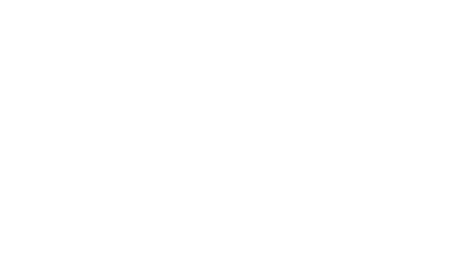 One Crazy Summer logo