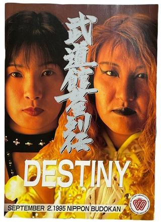 AJW Destiny poster