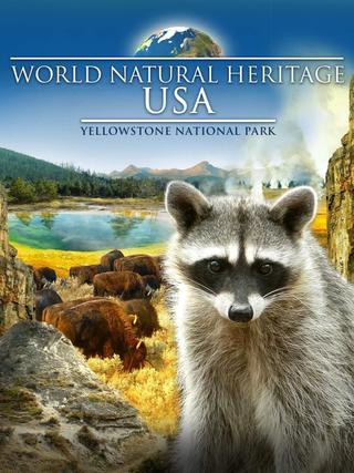 World Natural Heritage USA: Yellowstone National Park poster