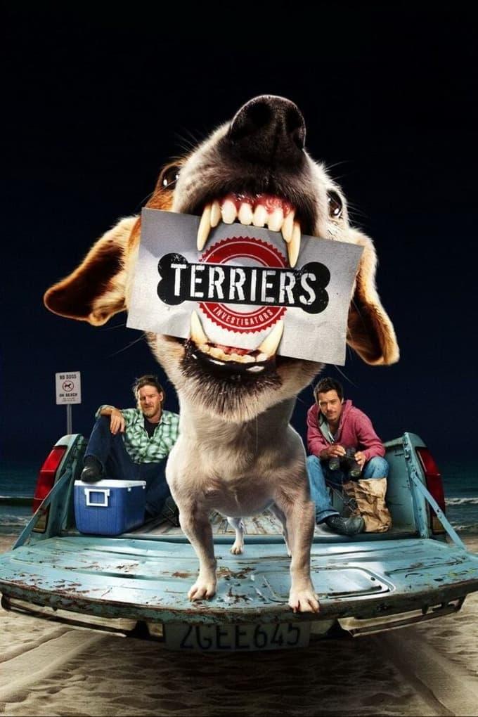 Terriers poster