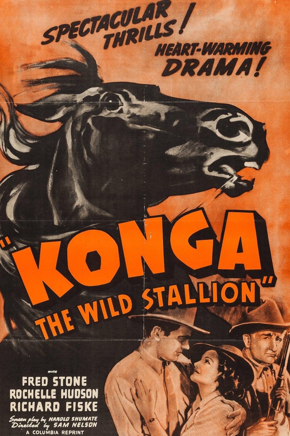 Konga, the Wild Stallion poster