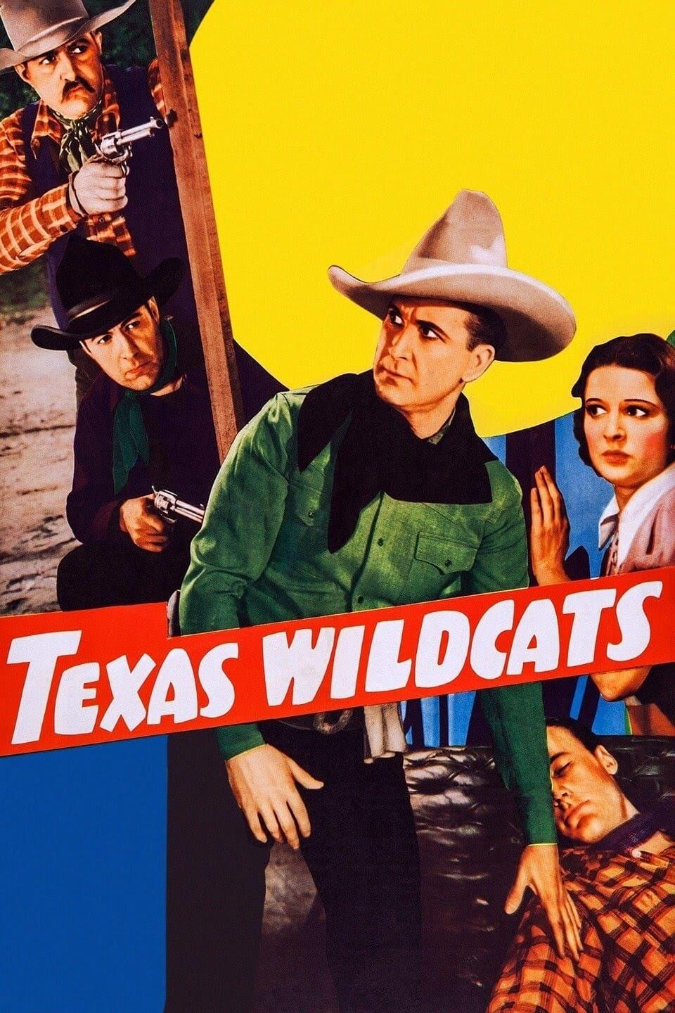 Texas Wildcats poster