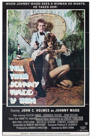 Tell Them Johnny Wadd Is Here poster