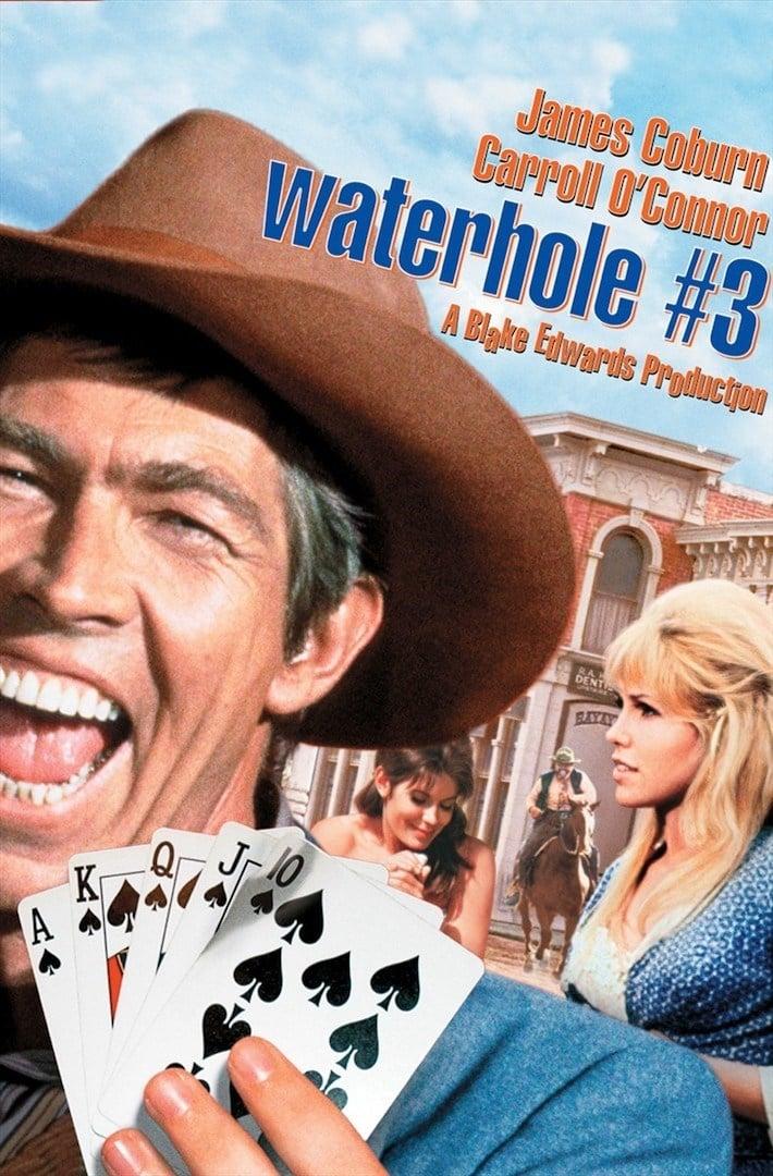 Waterhole #3 poster