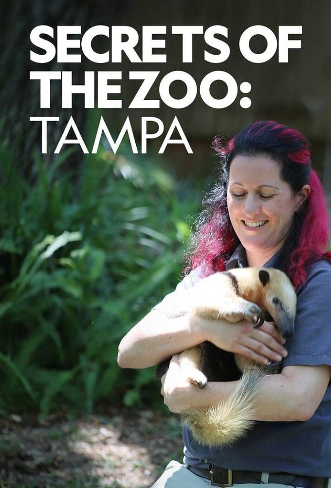 Secrets of the Zoo: Tampa poster