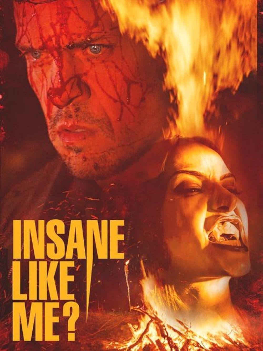 Insane Like Me? poster