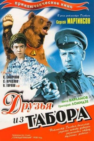 Друзья из табора poster