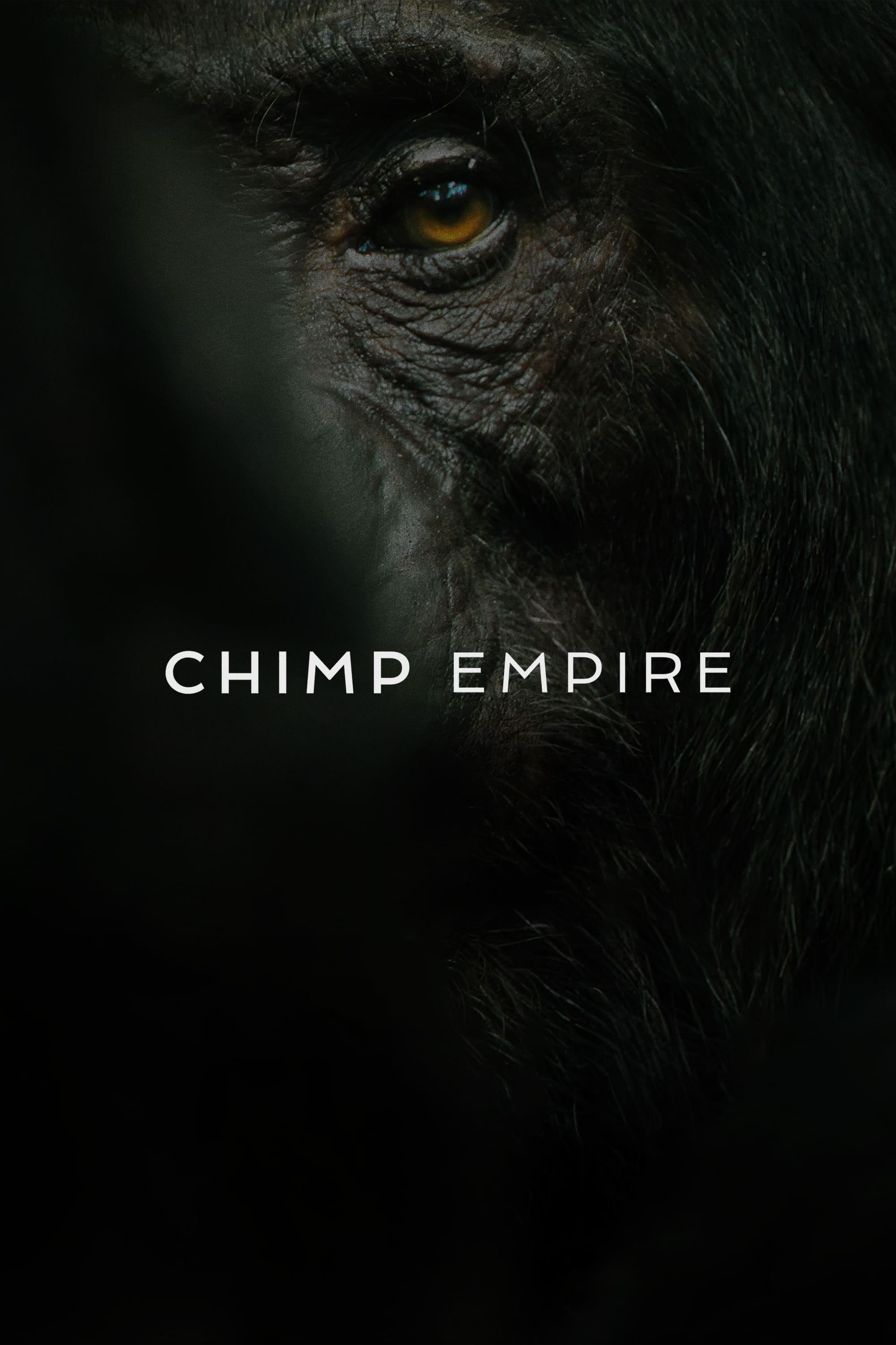 Chimp Empire poster
