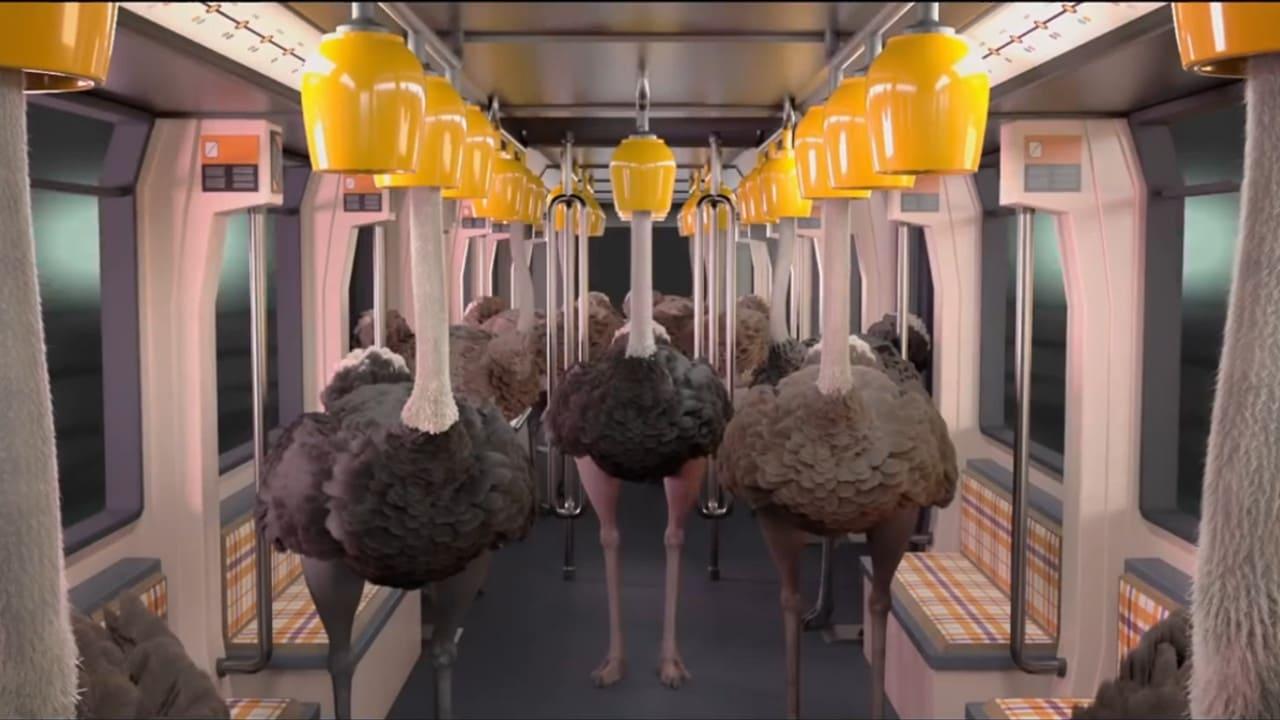 Ostrich Politic backdrop