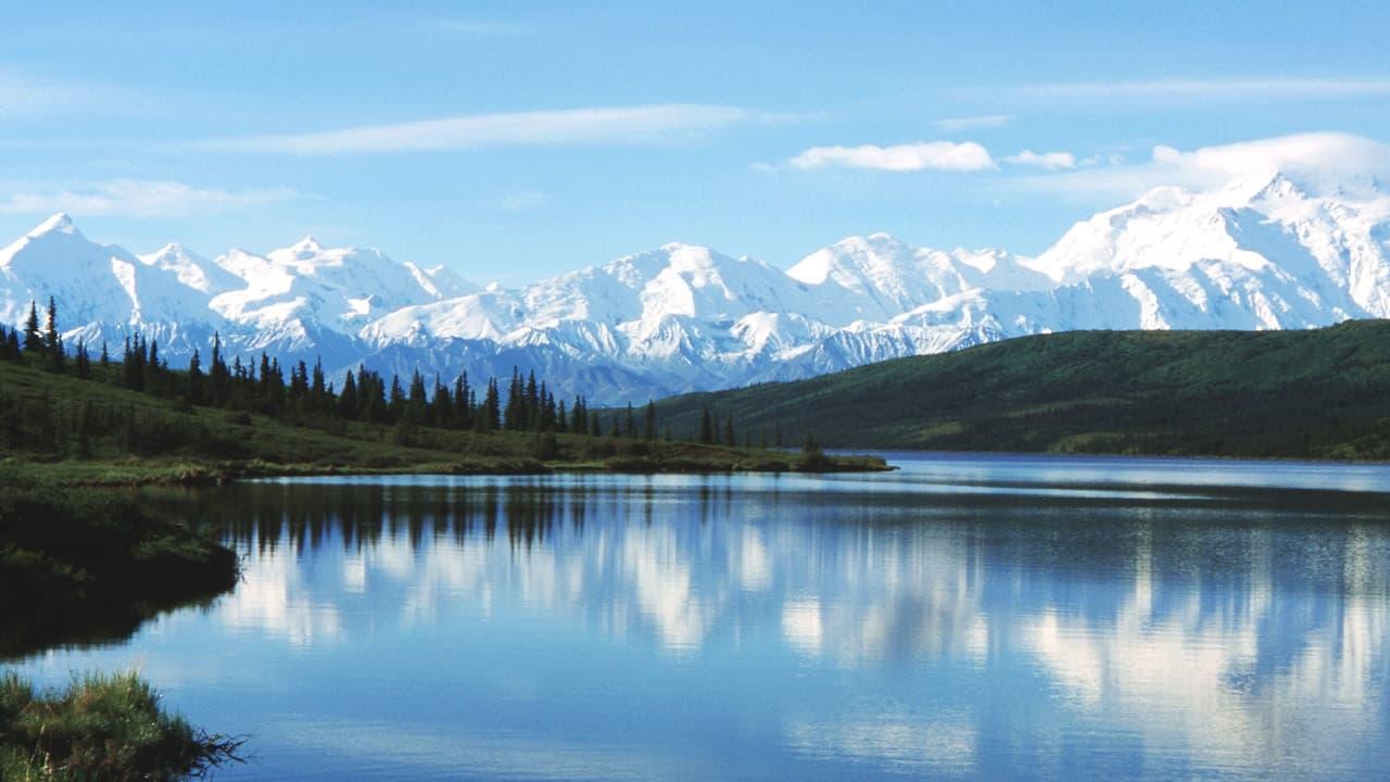 Buying Alaska backdrop