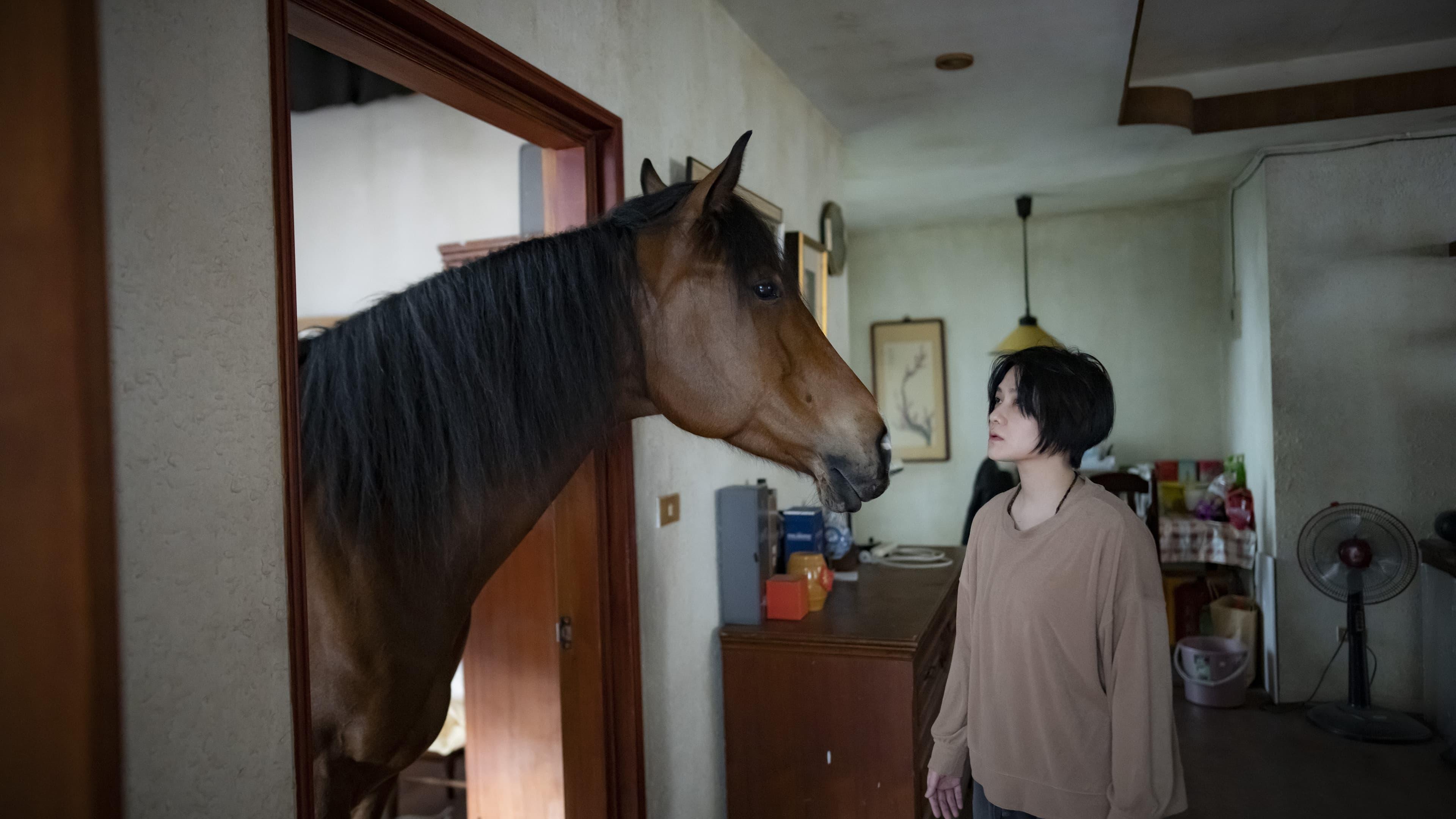 The Horse backdrop