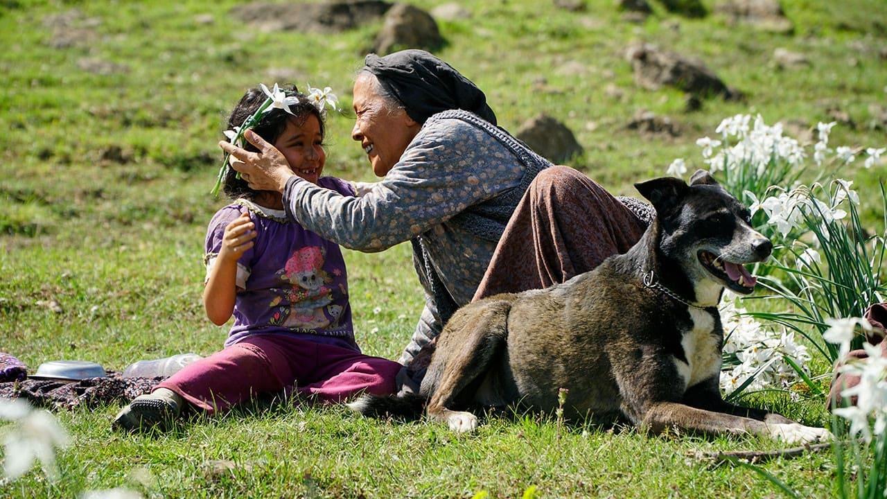 Güliz Şirinyan backdrop