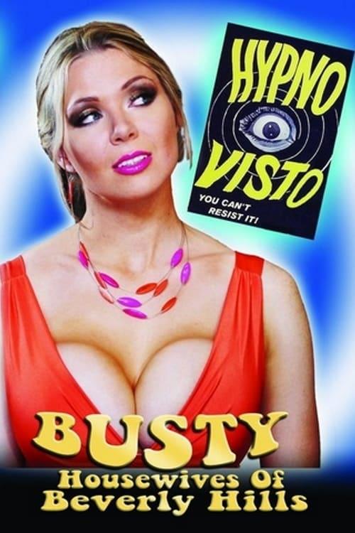 Busty Housewives of Beverly Hills poster