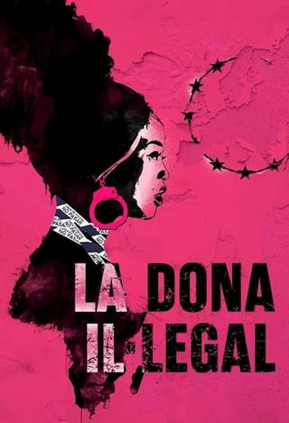 Illegal Woman poster