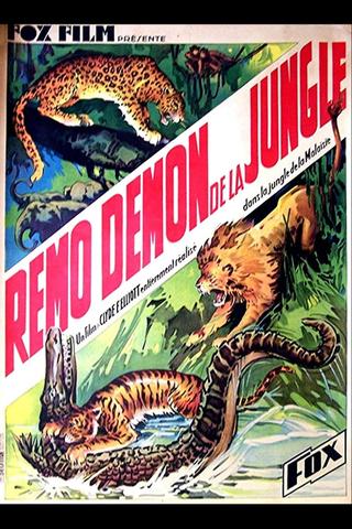 Devil Tiger poster