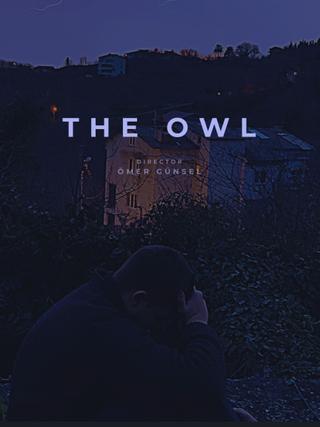 The Owl poster