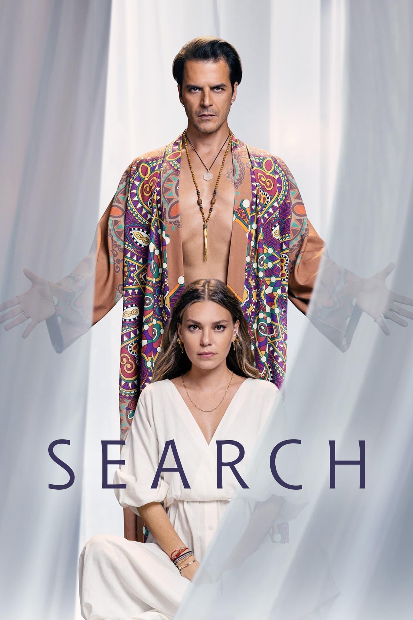 The Search poster