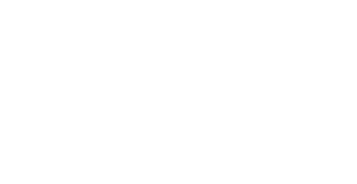 Bicycle Thieves logo