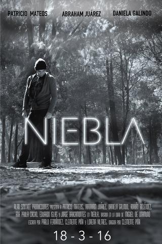 Niebla poster