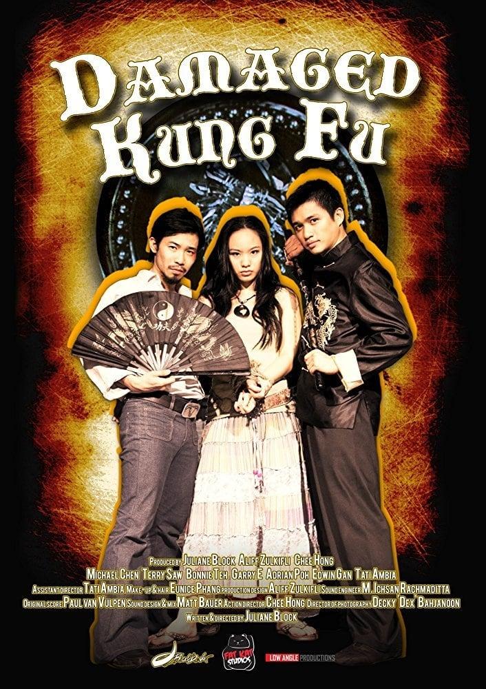 Damaged Kung Fu poster