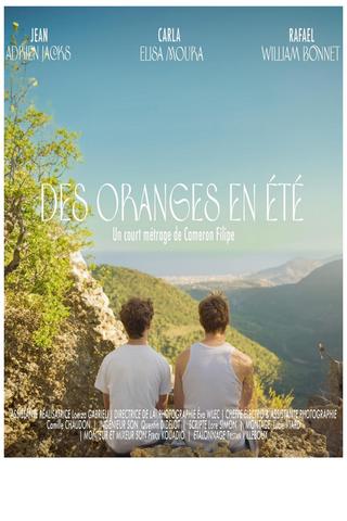 Oranges in Summer poster