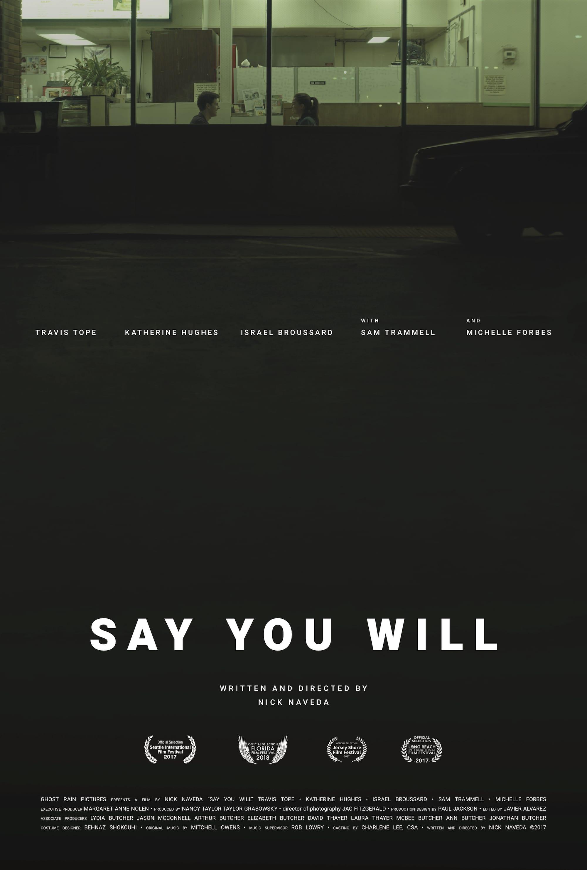 Say You Will poster