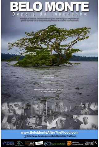 Belo Monte: After the Flooding poster