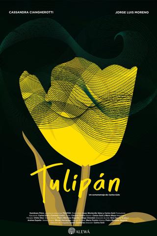 Tulip poster