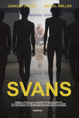 Swans poster