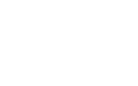 Ice T and Coco logo